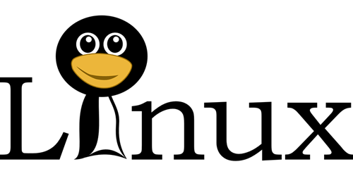 Linux Penguin