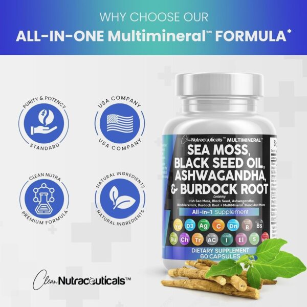 Clean Nutraceuticals Sea Moss Black Seed Oil Ashwagandha Turmeric Bladderwrack Burdock & Vitamin C Vitamin D3 with Elderberry Manuka Dandelion Yellow Dock Iodine Chlorophyll ACV - Image 3