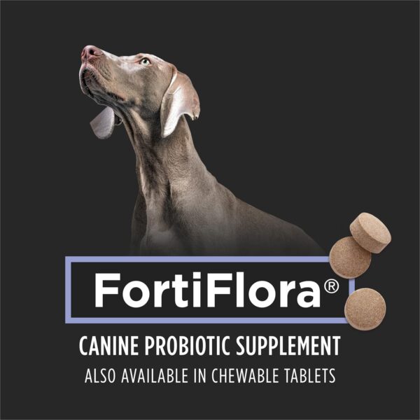 Purina Pro Plan Veterinary Supplements FortiFlora Dog Probiotic Supplement, Canine Nutritional Supplement - 30 Ct. Box - Image 3